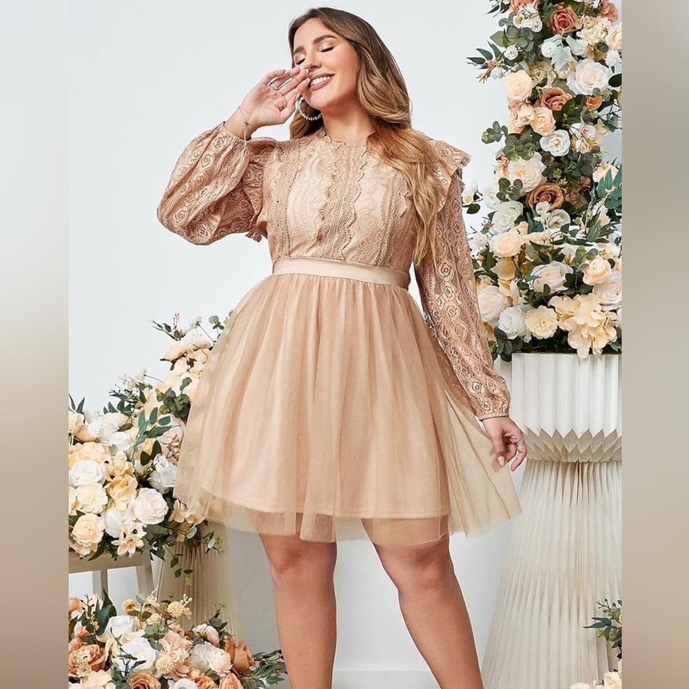 Simplee Plus Women’s Lace Tulle Dress